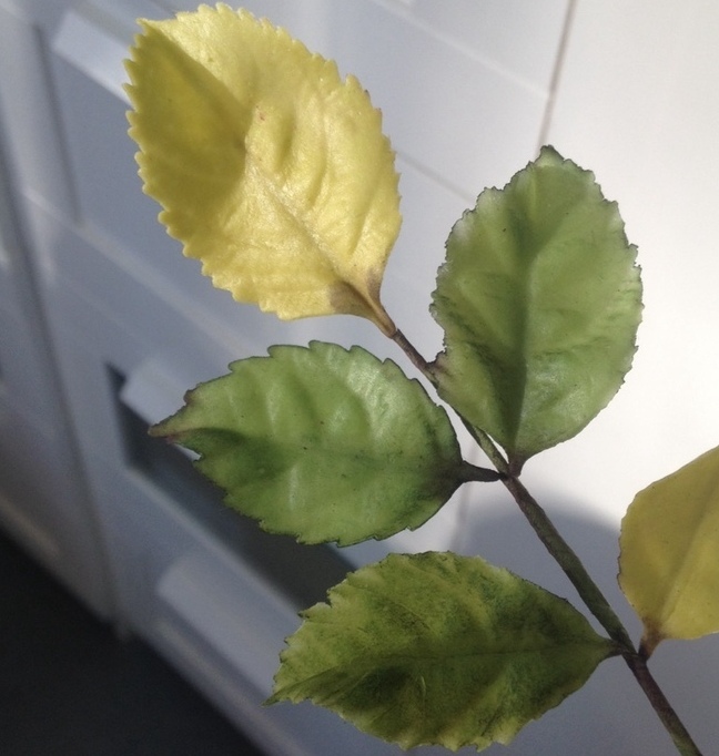 Листики&nbsp;