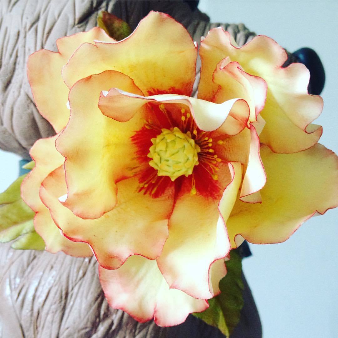 Роза Алиссар&nbsp;