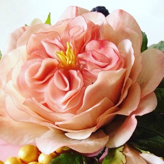 Роза Остина&nbsp;